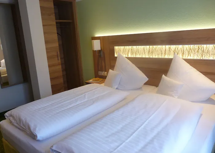Affittacamere Hotel- Landgasthof Baumhof-tenne Marktheidenfeld