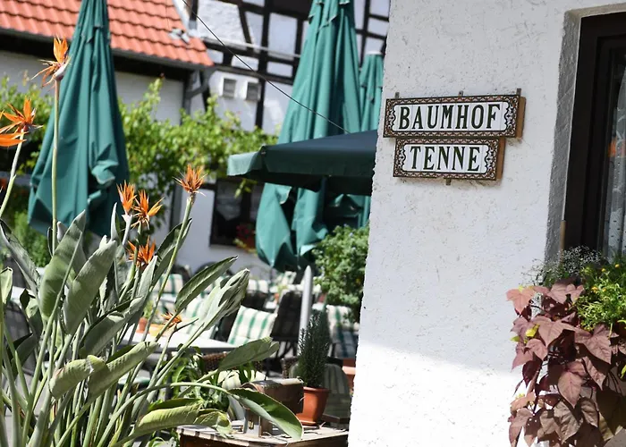 Hotel- Landgasthof Baumhof-tenne Affittacamere