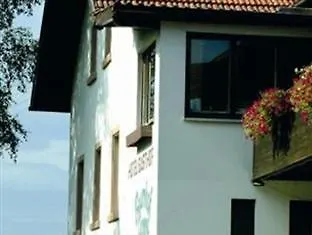 Hotel- Landgasthof Baumhof-tenne Gasthof