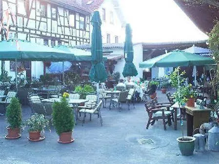 Hotel- Landgasthof Baumhof-tenne Gasthof