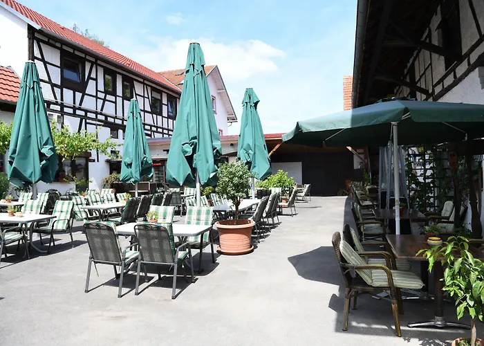 Gasthuis Hotel- Landgasthof Baumhof-tenne Marktheidenfeld